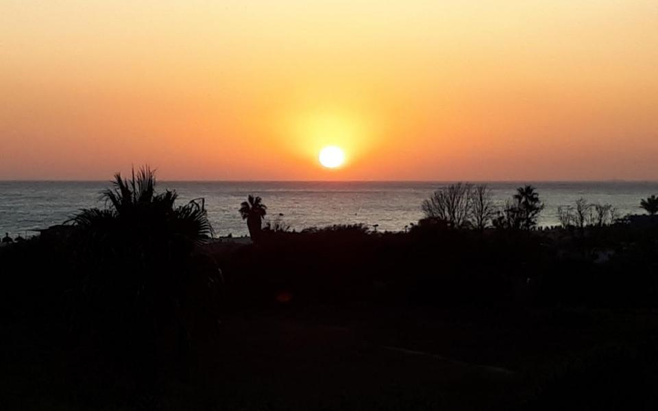 Apartamento 2 dormitorios en Jardines de Zahara - Ref: 137